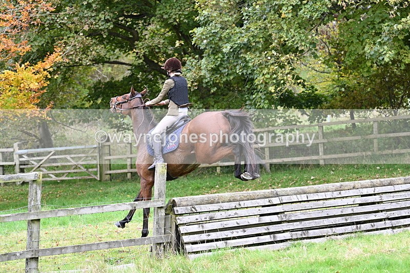 WJ7_4786 - Camera 1 Line 3