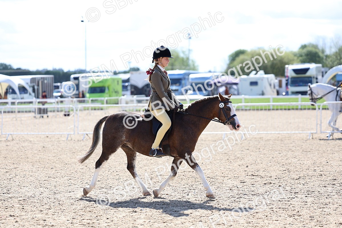 SBM_13330 - Class 311 - Ridden Show Pony Show Hunter Pony