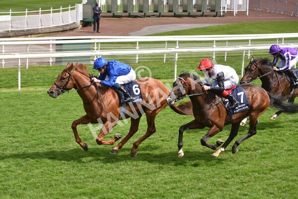 yr13052021r4-37 - Race 4 3.10pm Al Basti Equiworld Dubai Dante Stakes
