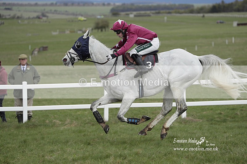 PtP 260323 0423 - New Forest Hounds Point-to-Point Larkhill 26/03/23