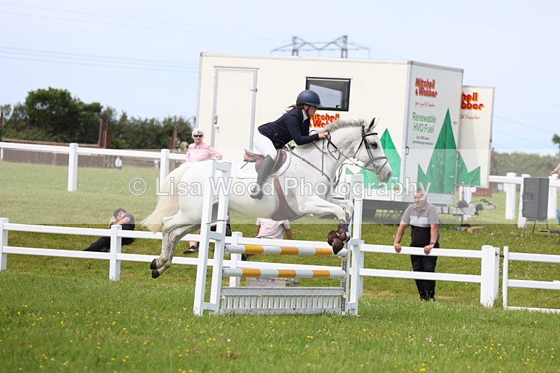 3E7A1539 - Class 13: Senior British Novice/90cm open