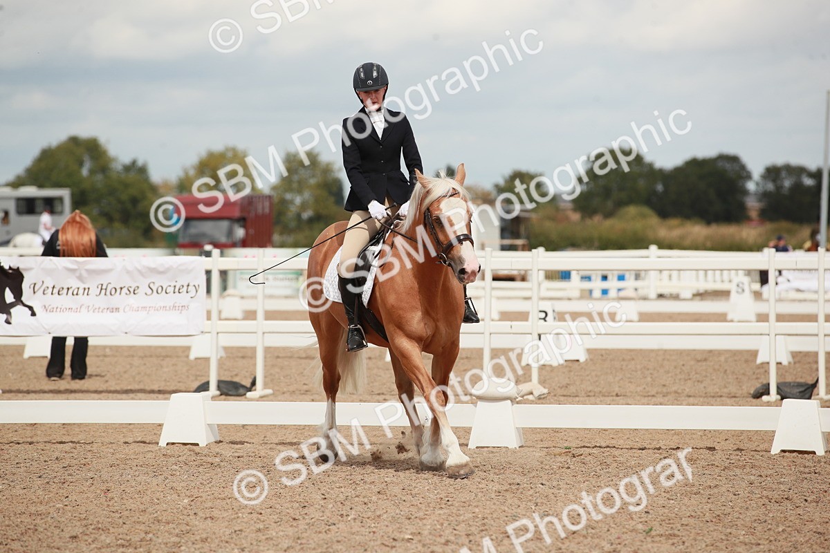 SBM_05896 - Class 32 - Novice 1