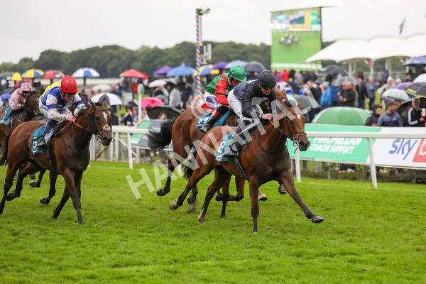 150624-Race 7-Holkham Bay-6265 - Race 7 5.25pm Fordy Marshall Land And Property Consultants Handicap