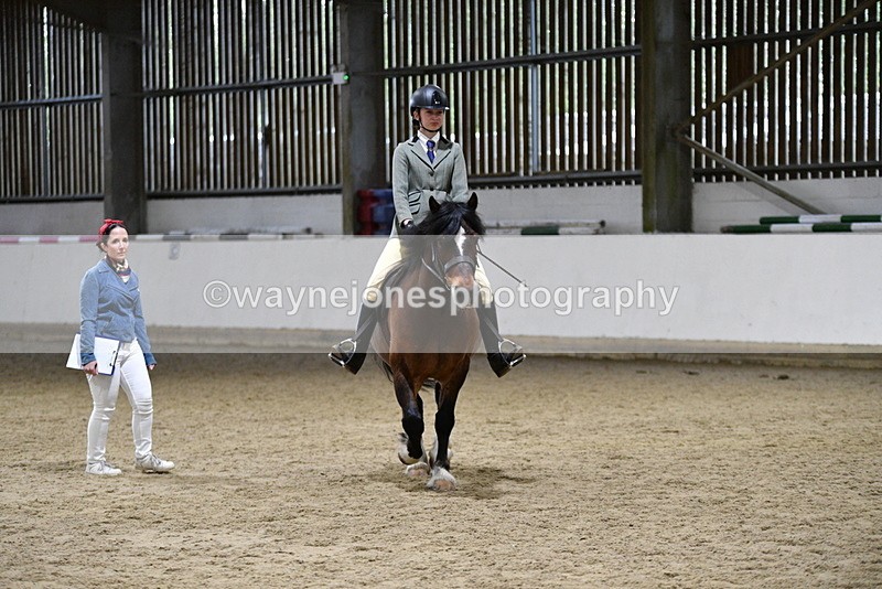 WJ5_8487 - Class 14 Novice Ridden/Rider