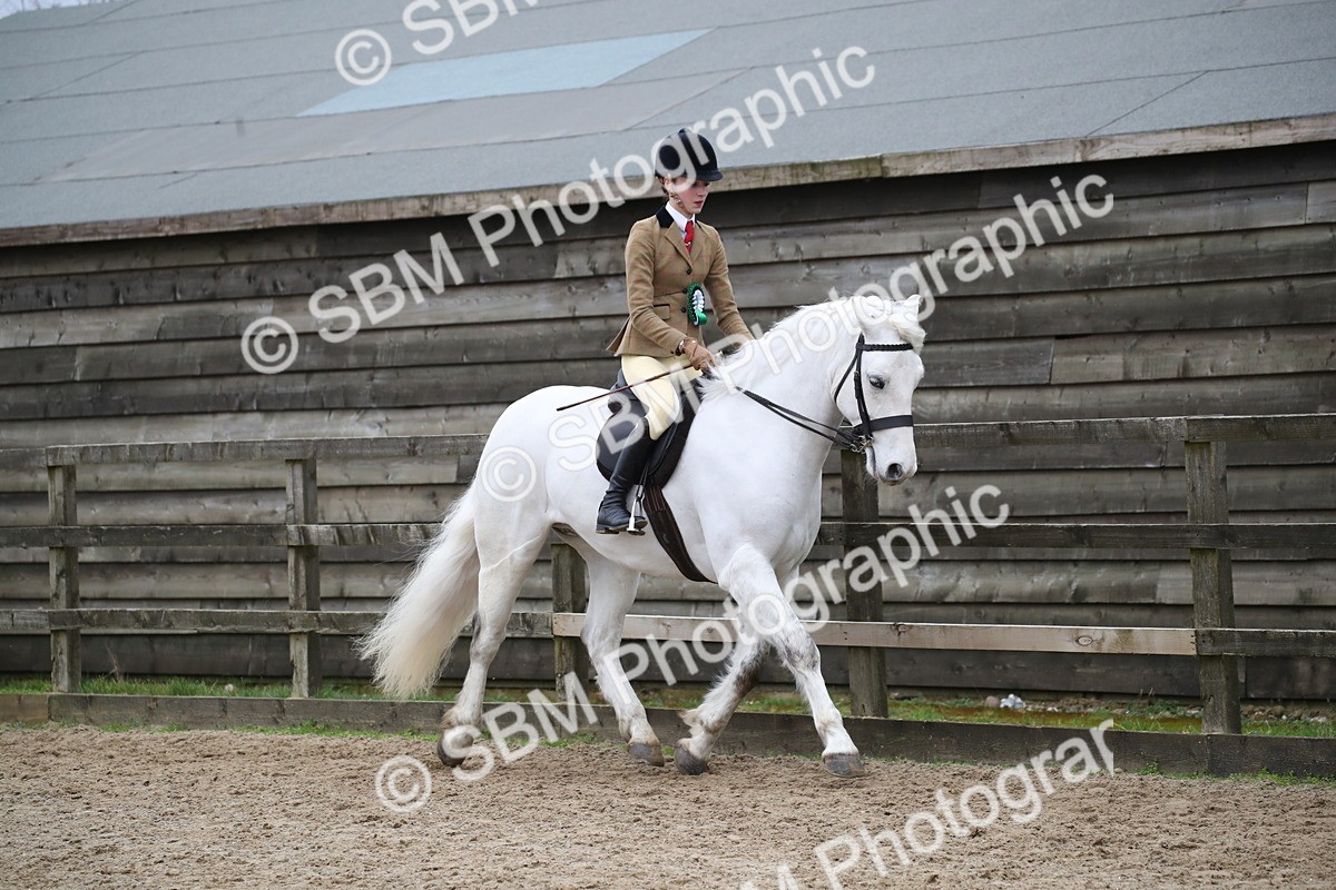SBM_006261 - Class 10-13 - RIHS Small Large Breeds