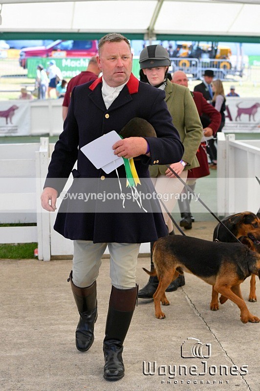 WJ5_0681 - Berks & Bucks at the Great Yorkshire Show 2025