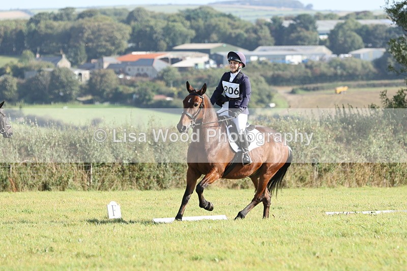 JPP_7938 - Class 2A: Trekenning Open: Dressage