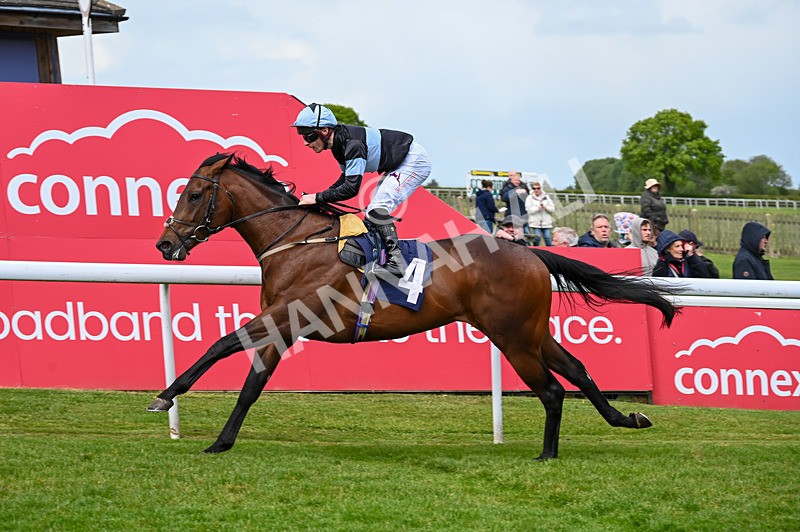 120526-Race 2-Ronson-7538 - Race 2 3.00pm Ire-Incentive, It Pays To Buy Irish