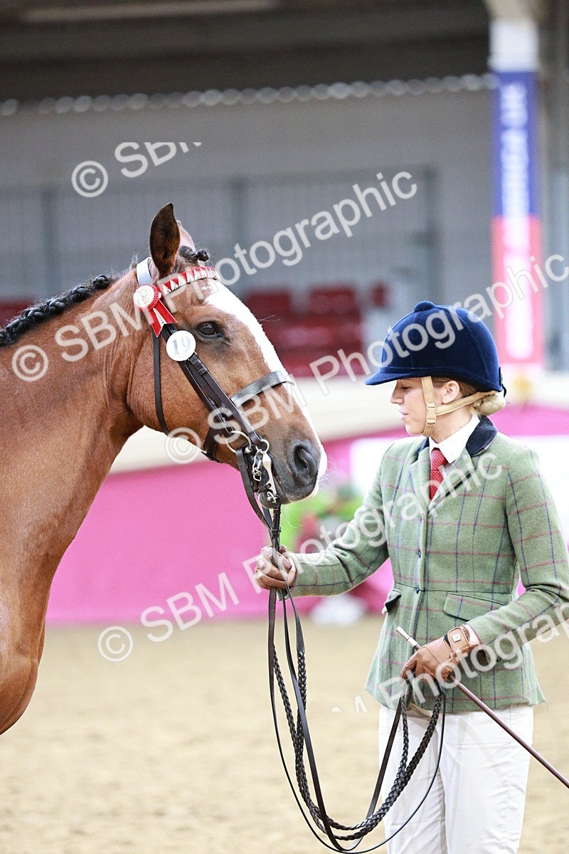 SBM_01192 - Class 3A - Area IH Pre-Vet