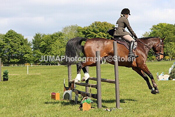 IMG_4457 - Working Hunter