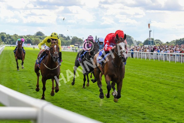 260823-Race 1-Spirit Dancer-0126 - Race 1 Sky Bet And Symphony Group Strensall Stakes