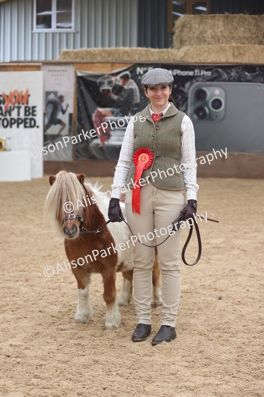 20251109-0344 - Class 13 - Mares 4 Years and Over