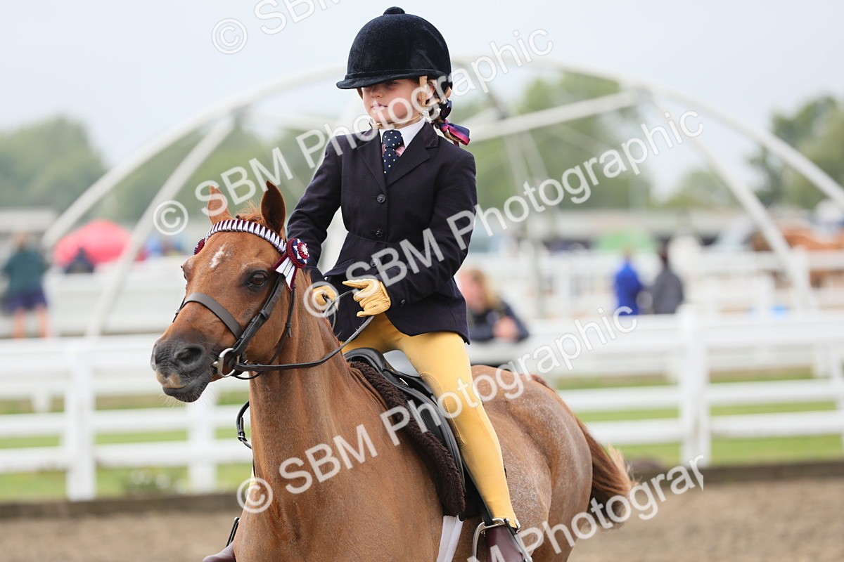 SBM_21787 - Class 806 - Young ridder 10 Yr & Under