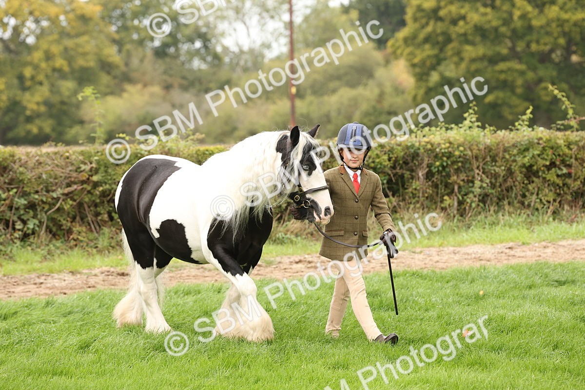 SBM_59214 - S57 - Traditional Cob In Hand