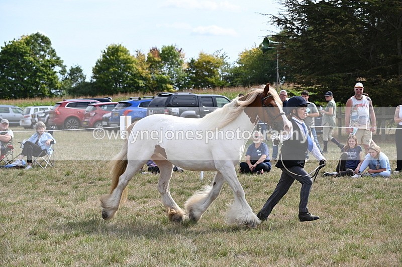 WJ6_6570 - Class 20 In-hand Cob