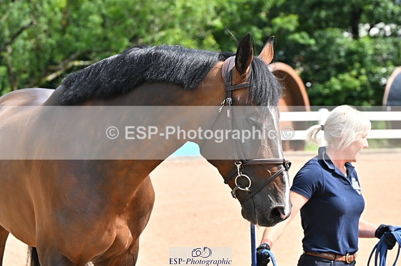 240718A-105236-00870 - Trot Up 11am to 12pm