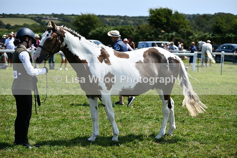 DSC_7764 - Class 64: Coloured Pony 4yrs & over