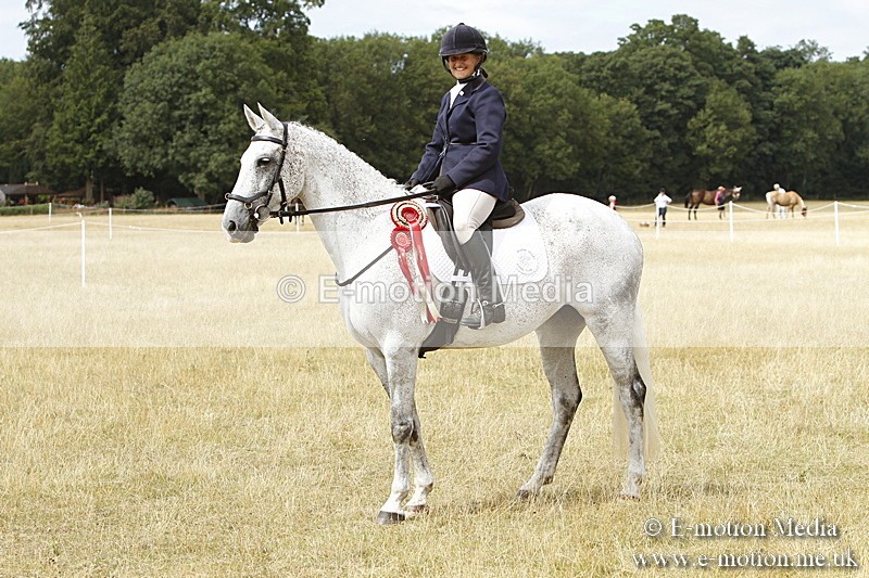 _BS_1029 - Working Hunter Championship BVRC Show 2018