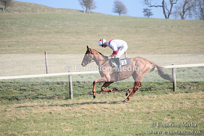 PtP 230219 175 - Vine & Craven Point-To-Point - Barbury 23/02/19