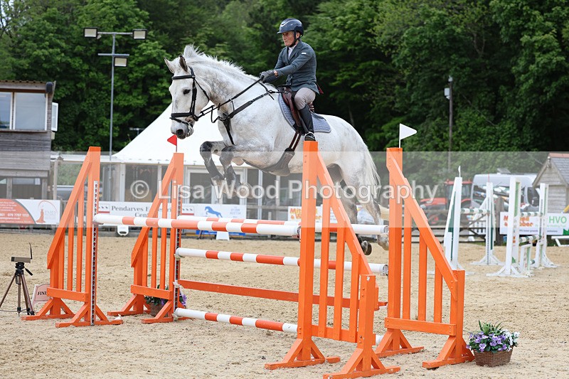 3E7A9610 - Class 9: Senior Foxhunter/1.20 open