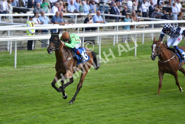 yr09072021r5-43 - Race 5: 4.20pm Garbutt + Elliott Stakes