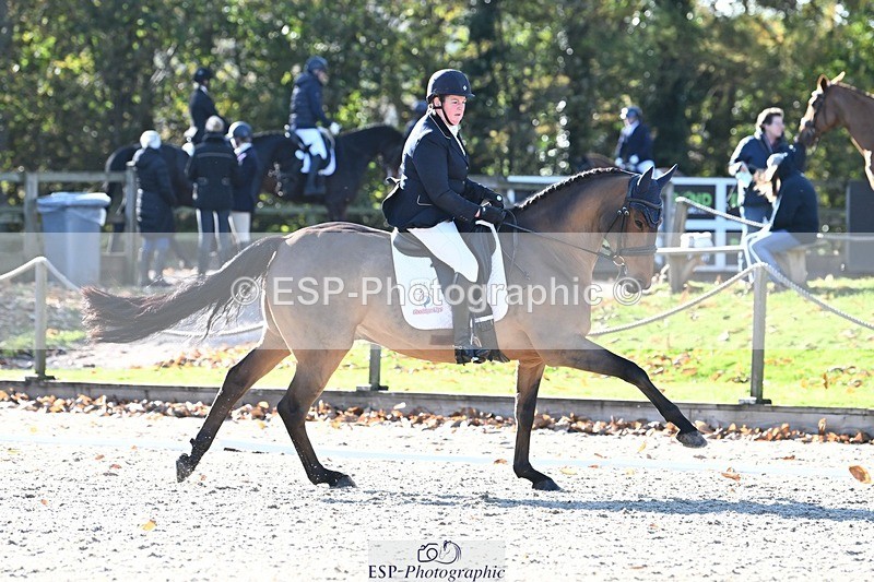 231110-123858-00753 - Cls 3 Novice 22