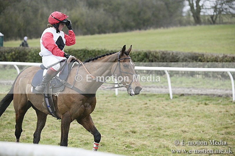 PtP 020418 -277 - Old Berks Point-to-Point Races Easter Monday 02/04/18