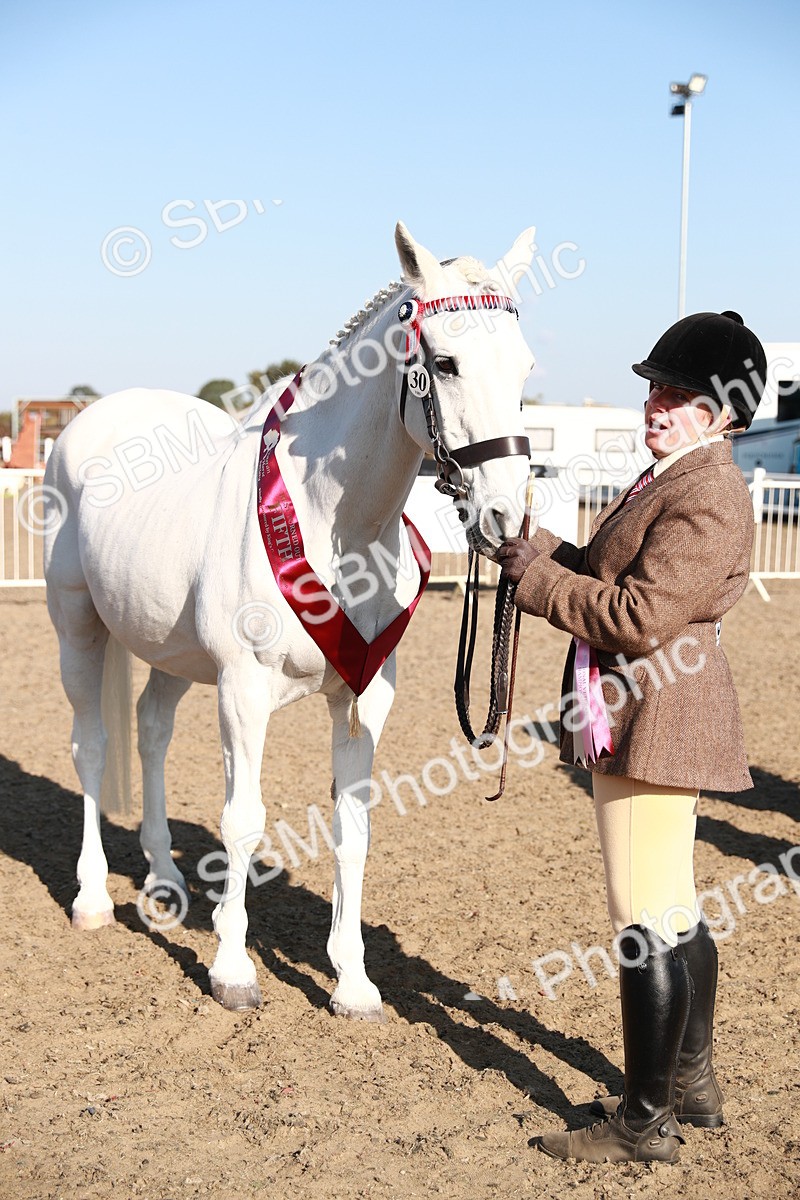 SBM_00134 - Class 40 Best Turned Out IH