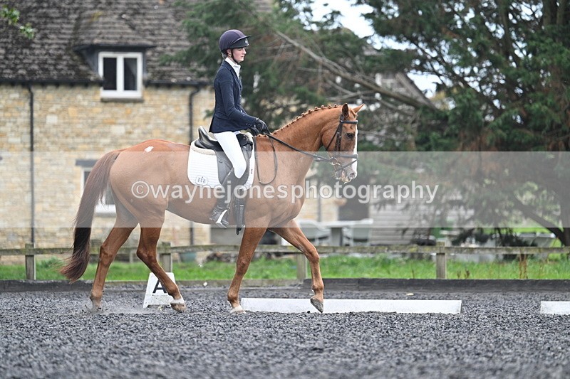 WJ7_6666 - Time 14:49 to 15:14