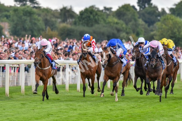 260823-Race 4-Absurde-0911 - Race 4 Sky Bet Ebor Handicap