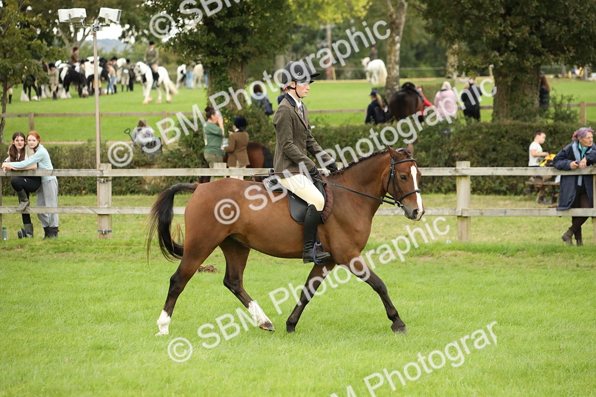 SBM_73745 - S41 - Ridden Equitation (Best Rider)