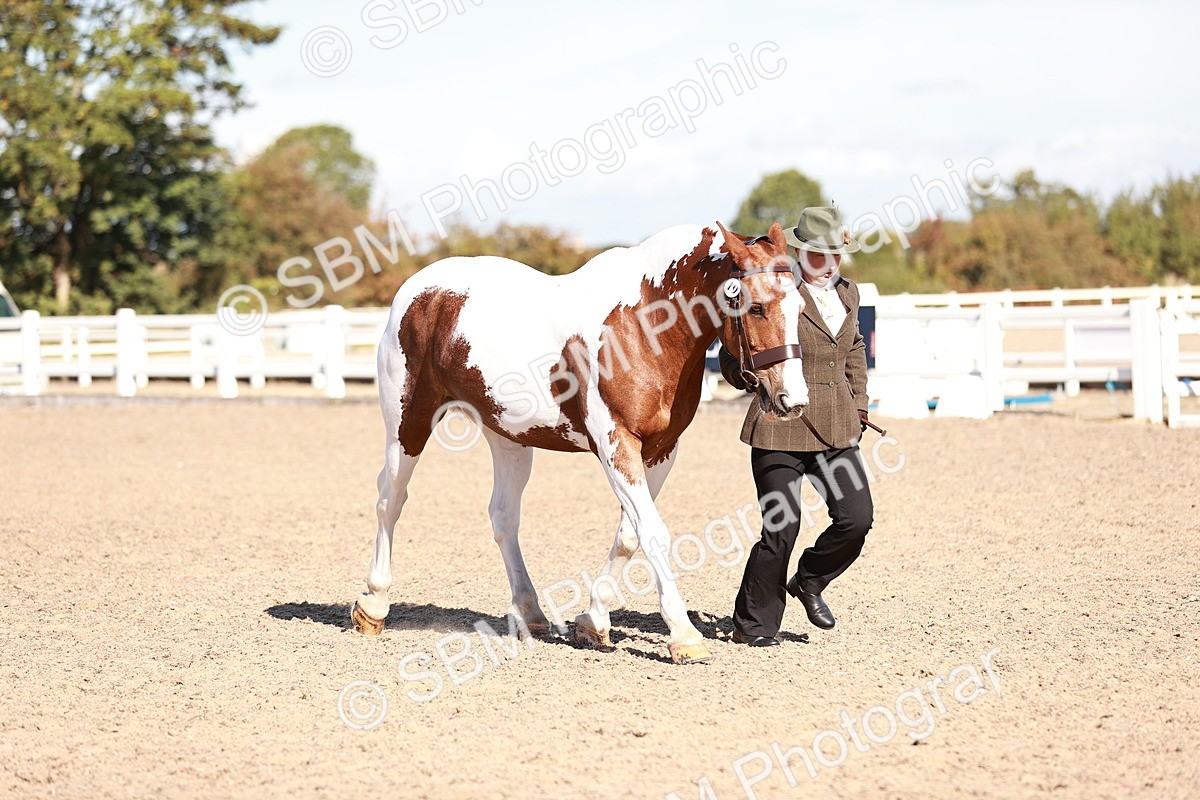 SBM_13238 - Class 405 - IH Show Cob