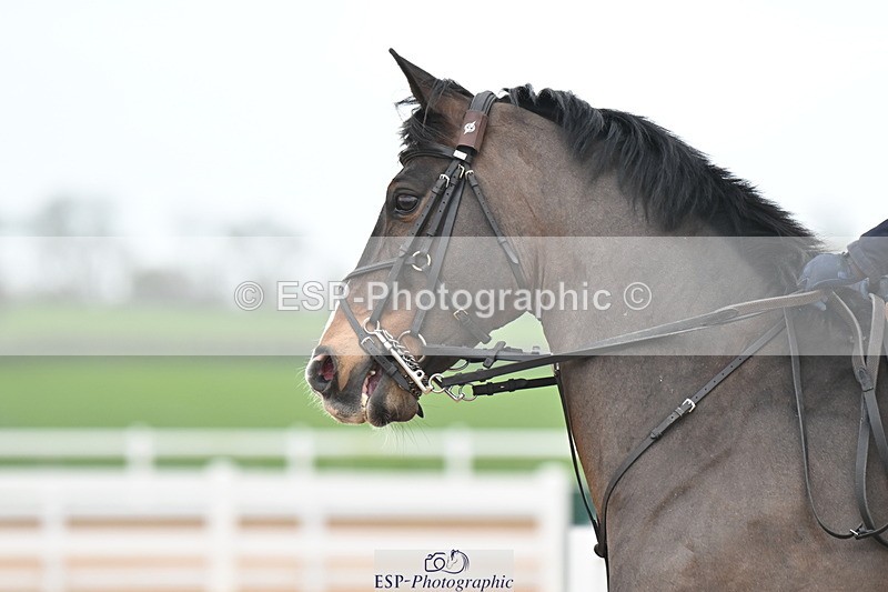 240406A-144551-03997 - Cls 15 Foxhunter