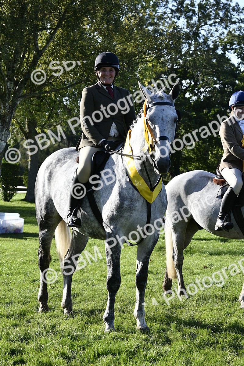 SBM_52260 - S35 - Working Hunter & Working Show Horse
