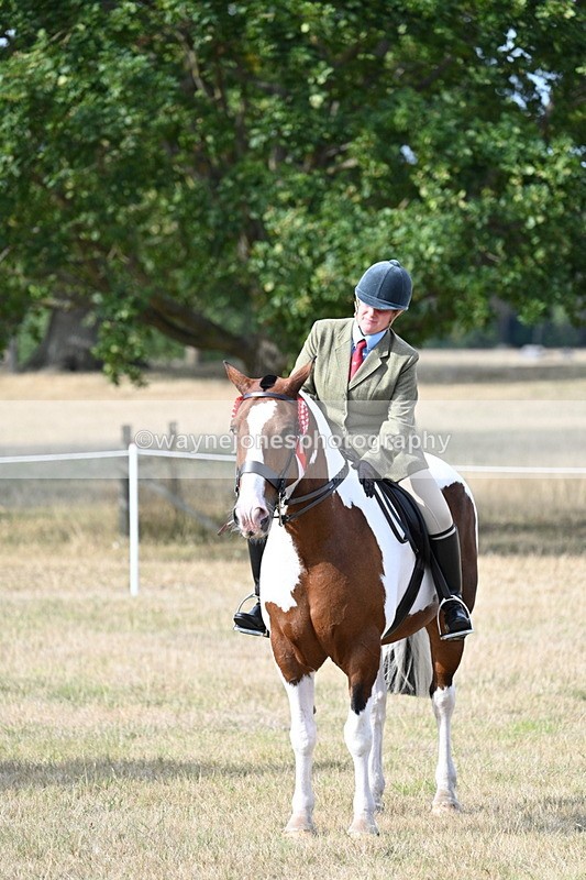 WJ7_7857 - Ridden Championship