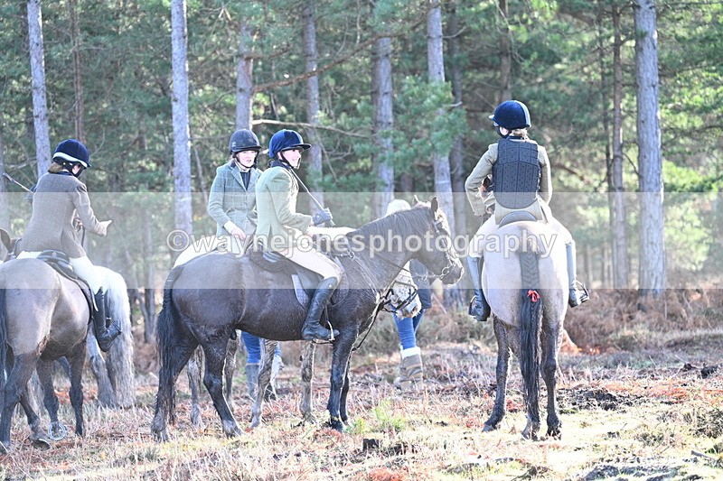 WJ7_7433 - Line 3 (no line 4 or 5)