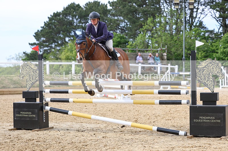 3E7A7786 - Class 8: Senior Foxhunter/1.20 open