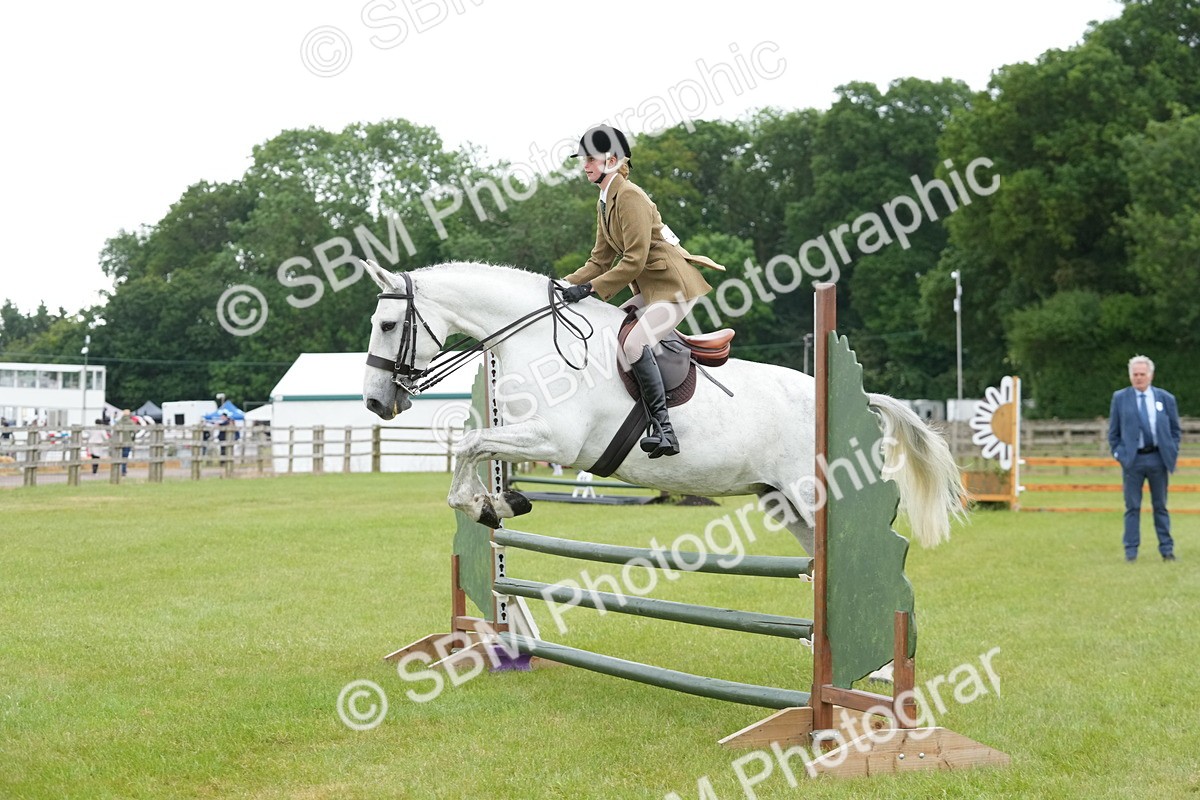 SBM_12522 - Class 97-98 - LIHS BSHA Rising Star Working Show Horse Hunter