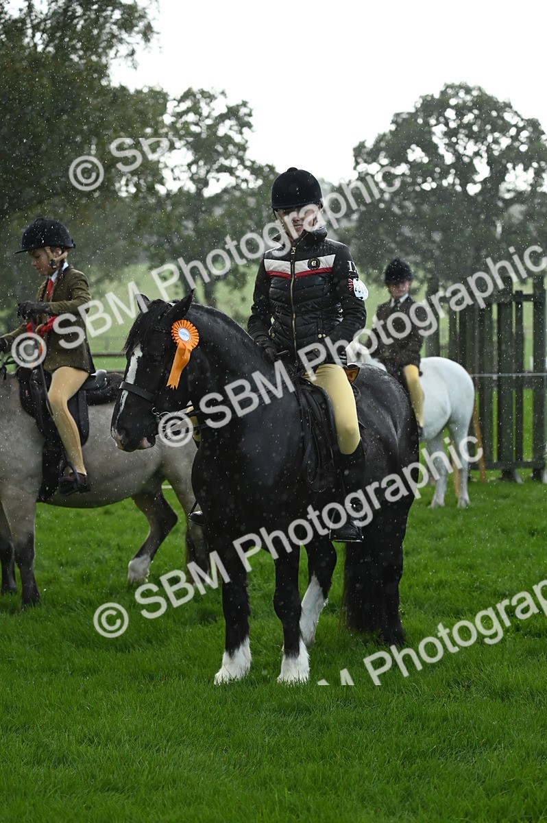 SBM_02922 - S3 - TSR Ridden Pony Showing