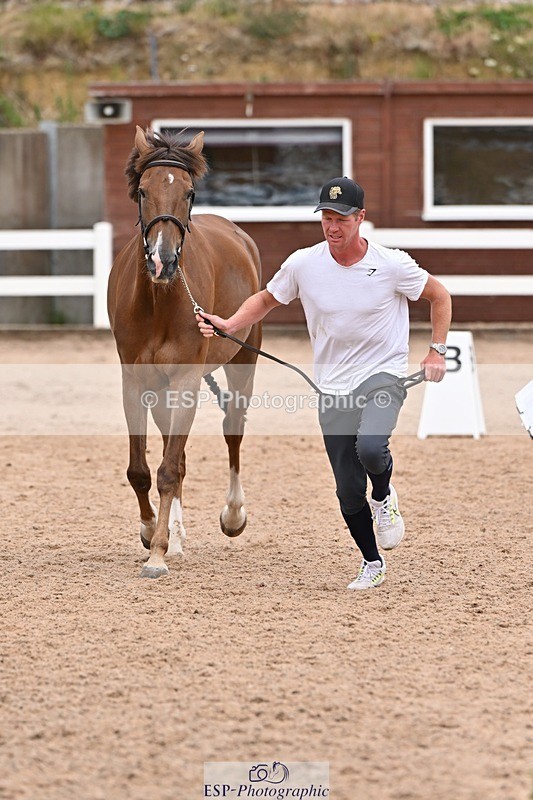 250716-143257-01192 - Trot Up 2.30 to 3.30