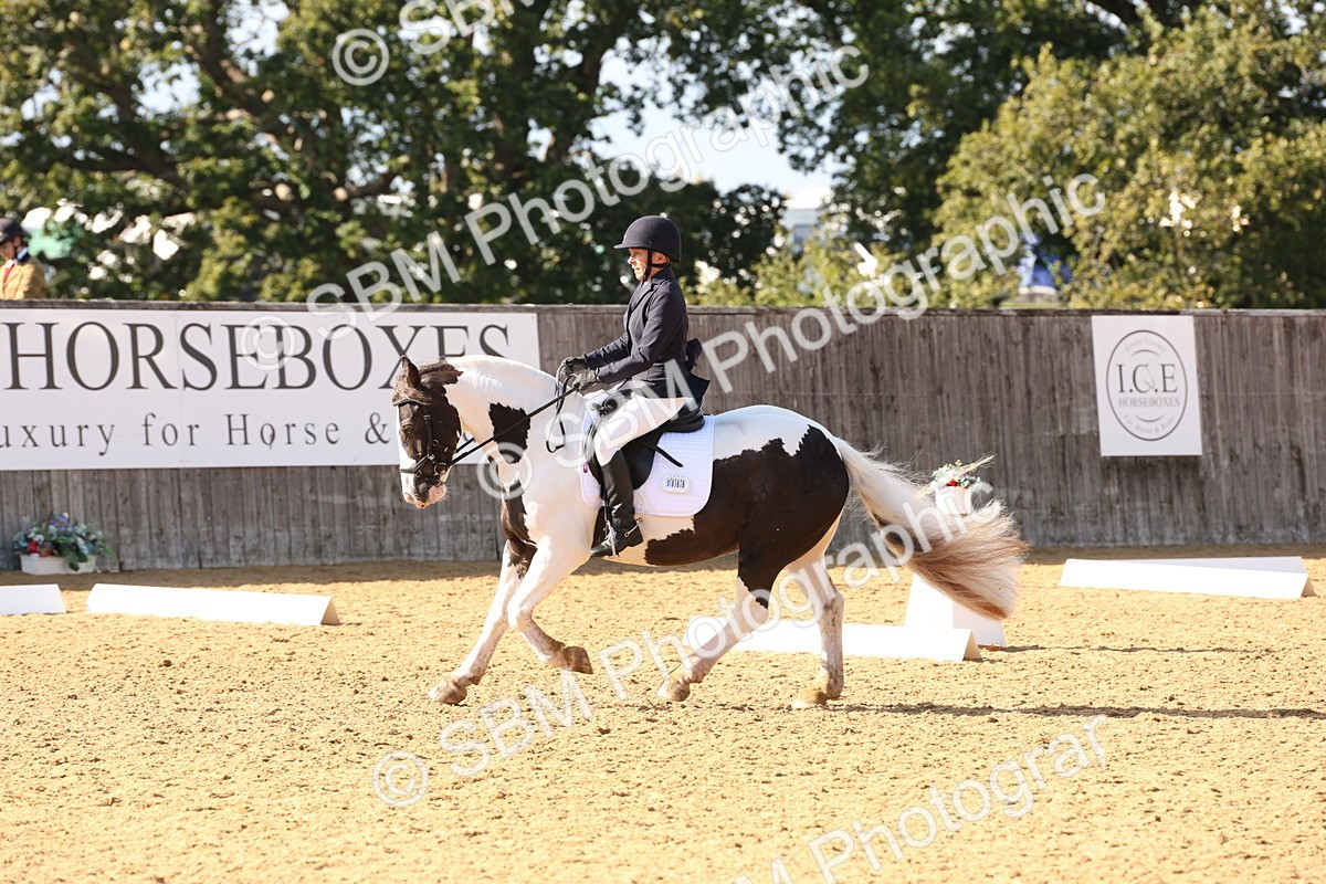 SBM_50436 - D12 - Small Tour Championship prelim 2