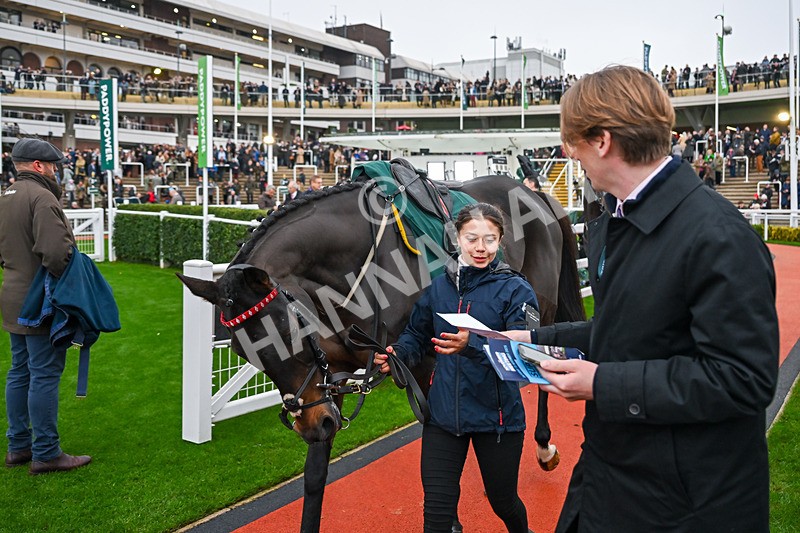 151125-Race 5-Gowel Road-3795 - Race 5