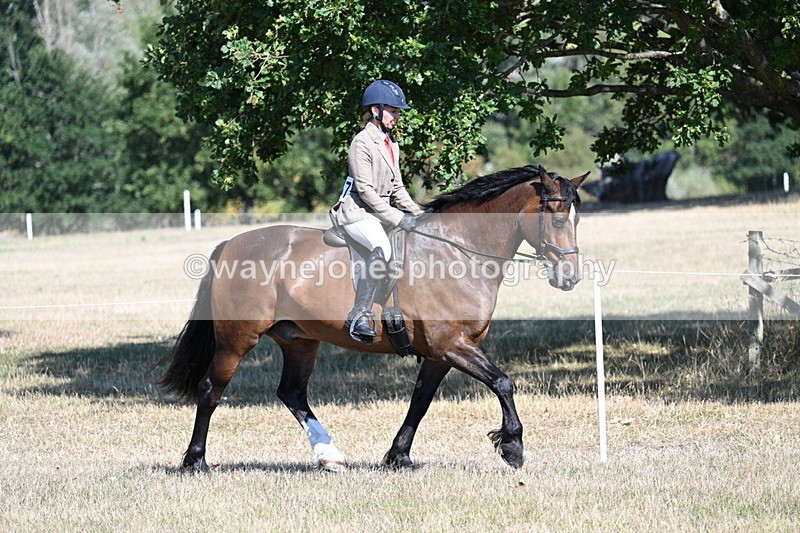 WJ7_3887 - Class 9 Mountain & Moorland Ridden