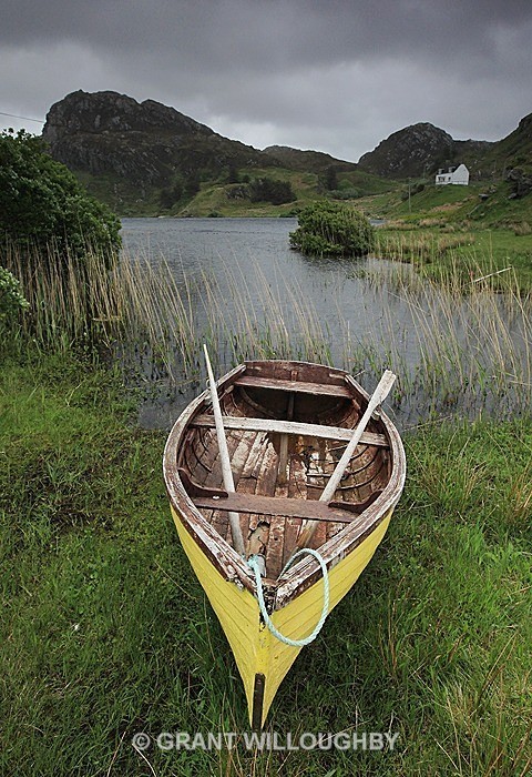 Mellow Yellow tarbert by Handa - Vertical Images