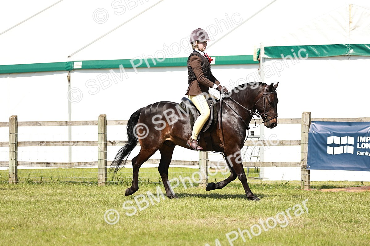SBM_17677 - Class 112-113 - BSPS LIHS Working Sports Pony