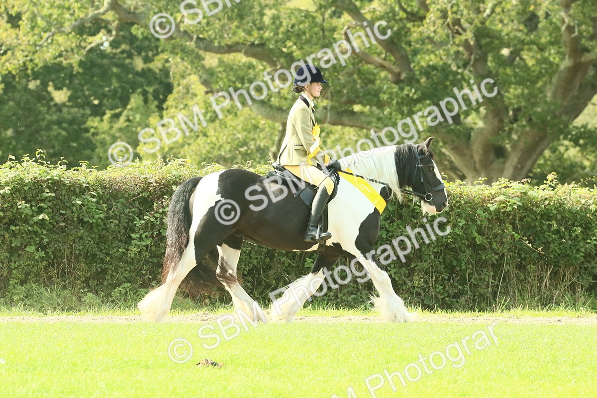 SBM_68995 - S58 - Mini Show Cob Ridden