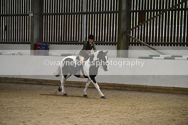 WJ7_3730 - Class 16 Ridden Coloured/ Odd Coloured