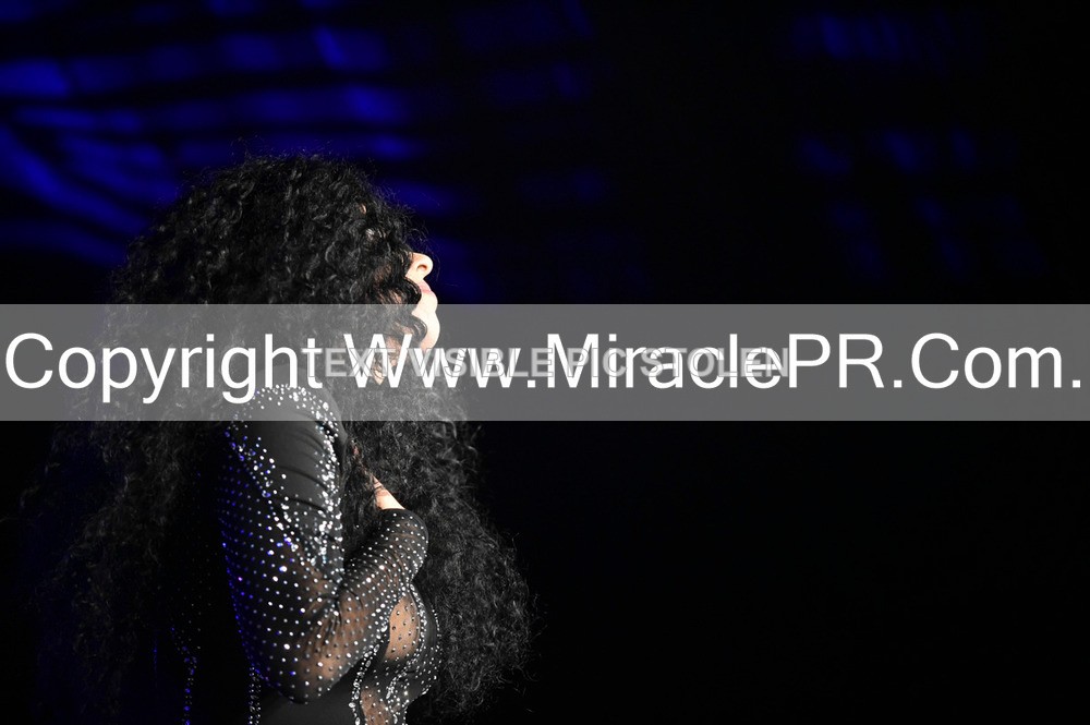 SH4_6397 - The Cher Experience