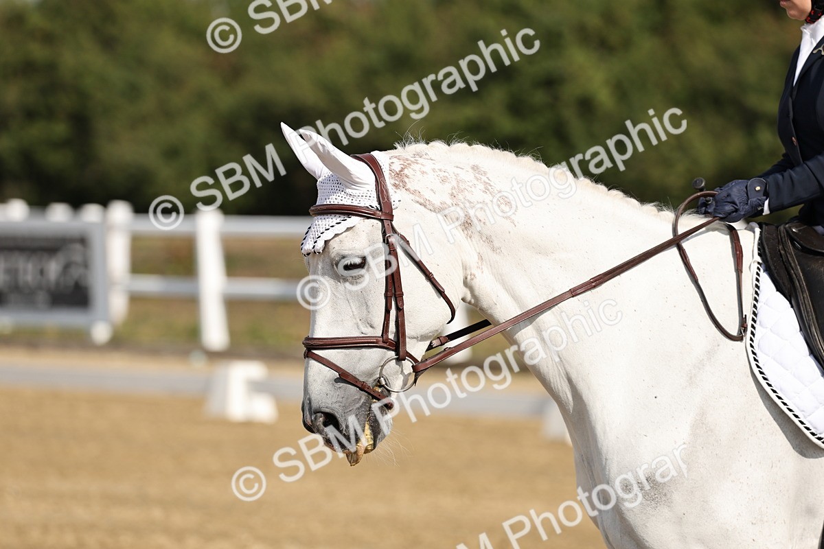 SBM_017041 - Class 12-14 - Intro 2-Prelim 5