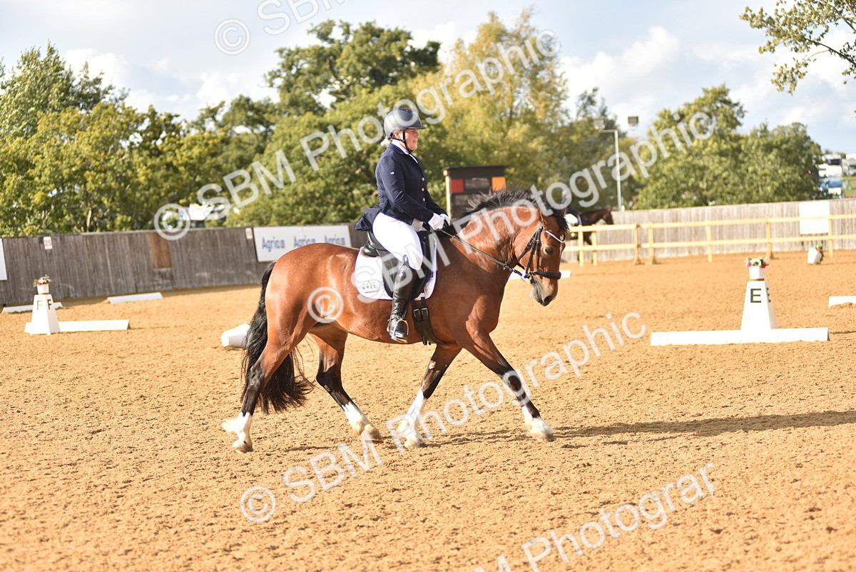 SBM_29662 - D16 -Small Tour Championship Novice 2